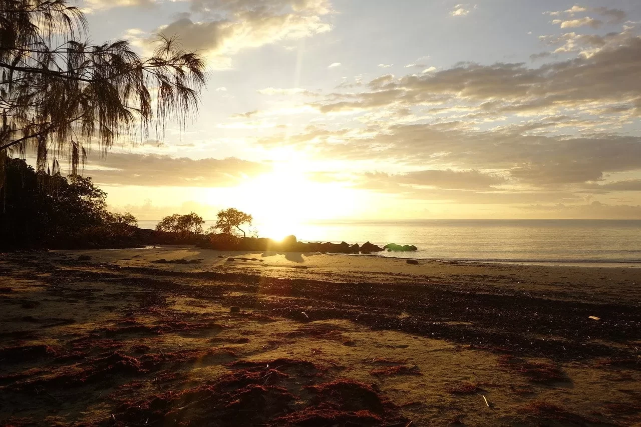 Day 11: Port Douglas