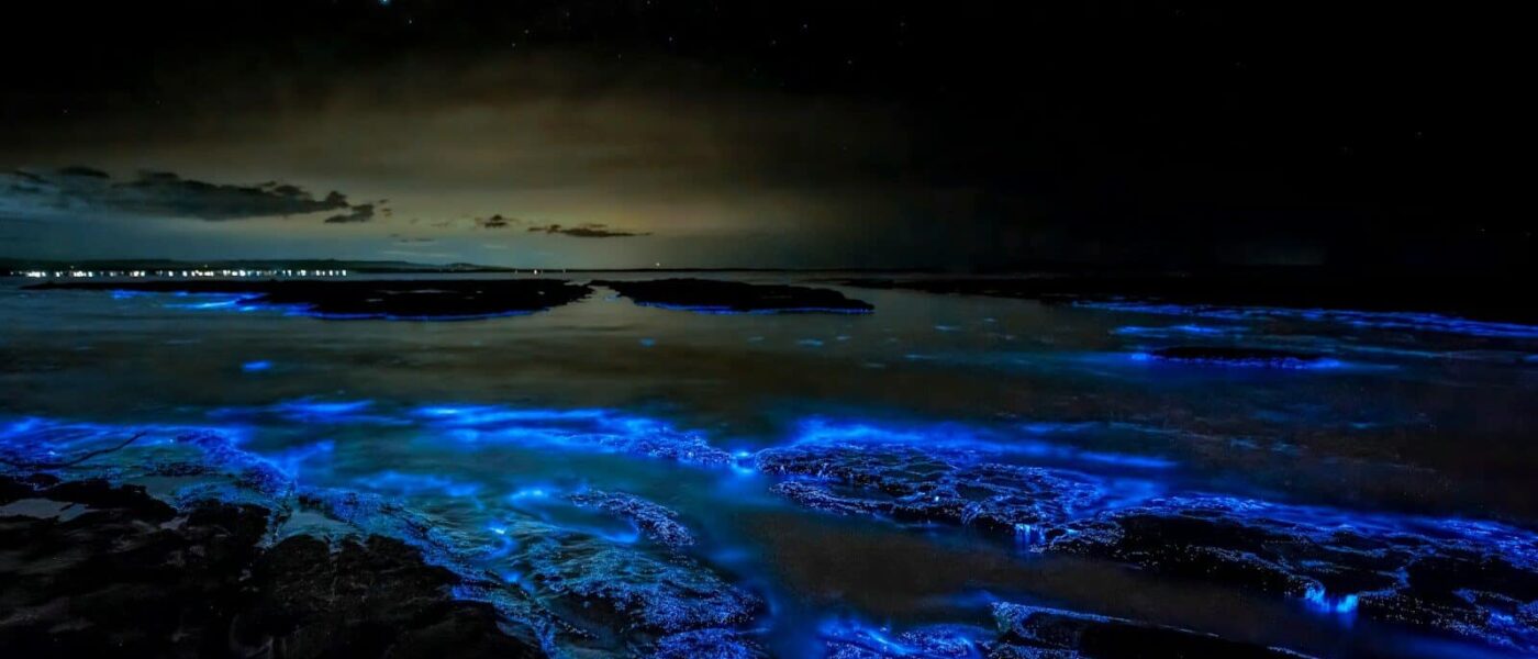Faint blue bioluminescence around a snorkeler's hand in dark water