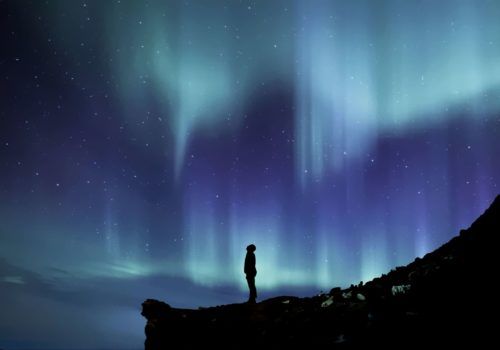 Northern Lights and Dog Sledding Adventure