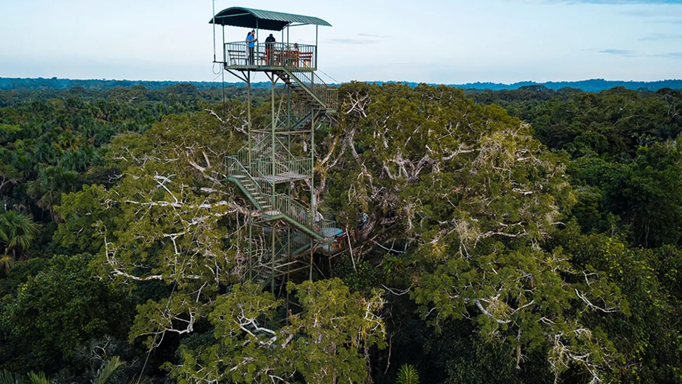 Day 6: Limoncocha Biological Reserve