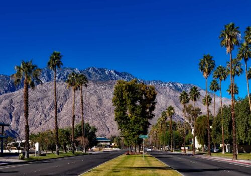 Palm Springs Palm Springs