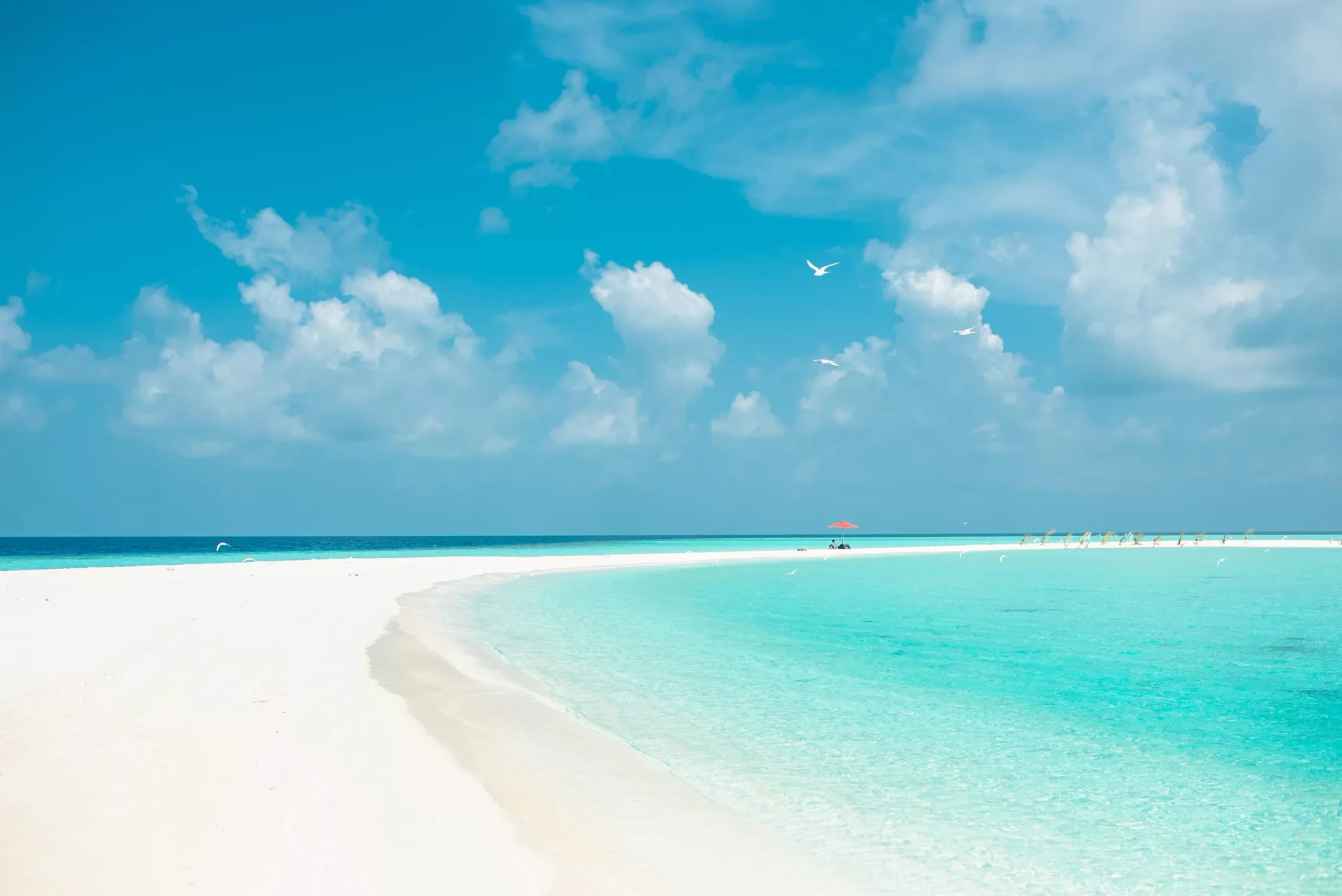 Amilla Fushi