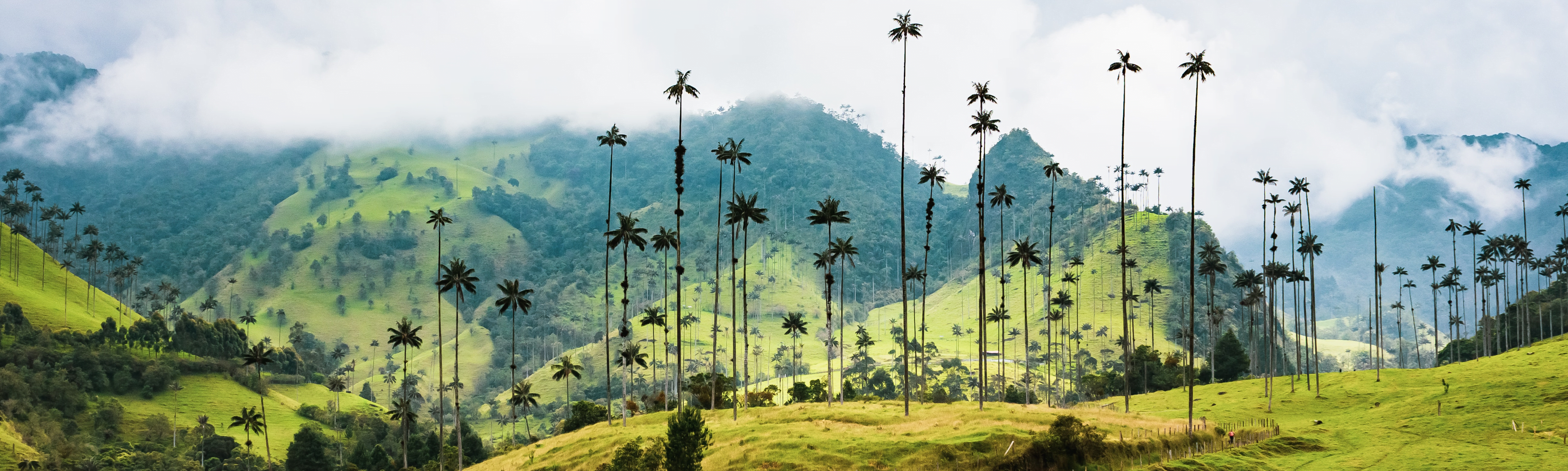 Discover Argentina And Brazil