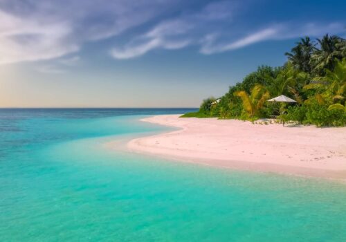 Pink Sand Beach in the Bahamas Pink Sand Beach in the Bahamas