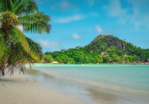seychelles Gay praslin Johnnie recommend Shemale kimora jade