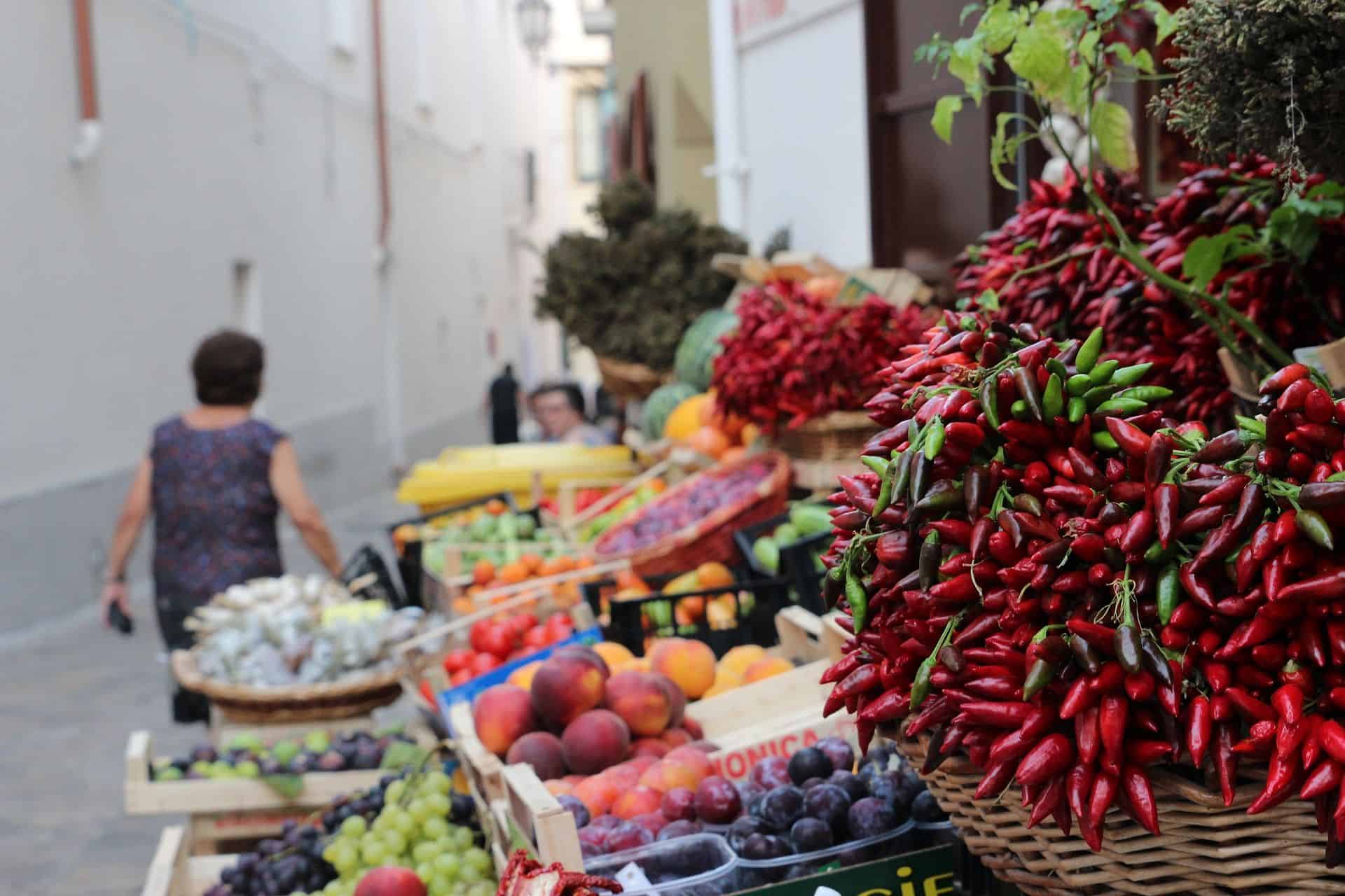 Gay Group Trip: Salento Food And Wine Tour