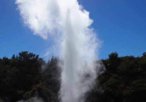 Rotorua geyser New Zealand Rotorua geyser New Zealand