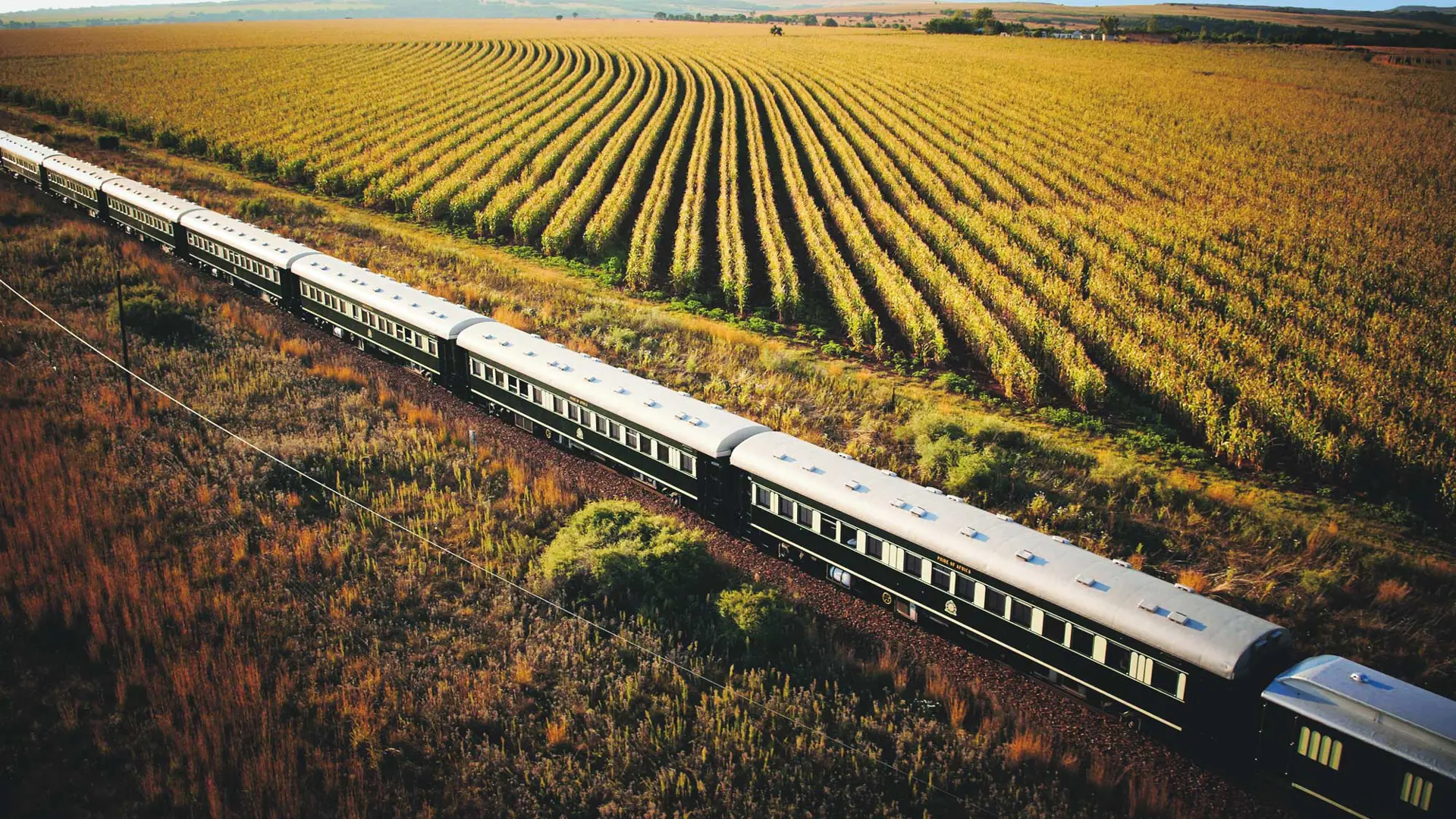 Why Rovos Rail Is One of the World’s Greatest Train Journeys