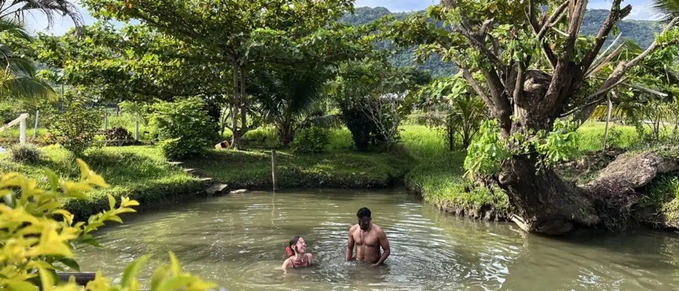 Steaming vents beside houses and gardens in Savusavu