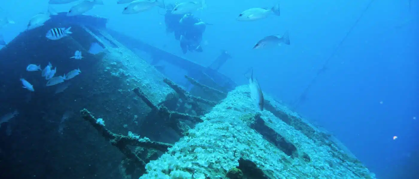 Coral ledges and sea fans on the walls of Pain de Sucre
