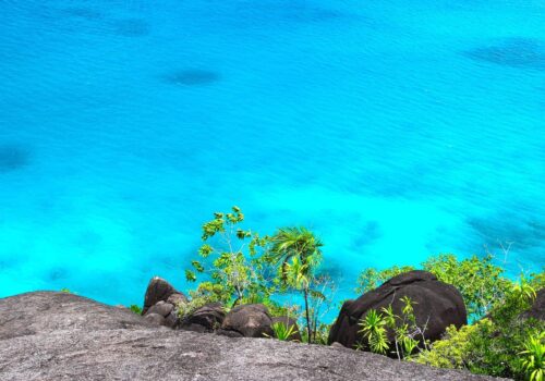 Gay Group Trip: Seychelles Cruise