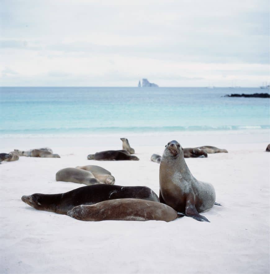 Galapagos Islands