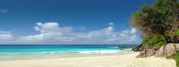 The Seychelles and the Maldives