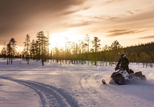 Northern Lights and Snowmobiling Adventure