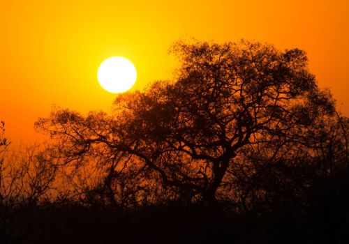 Gay Group Trip: Tanzania Tour And Safari