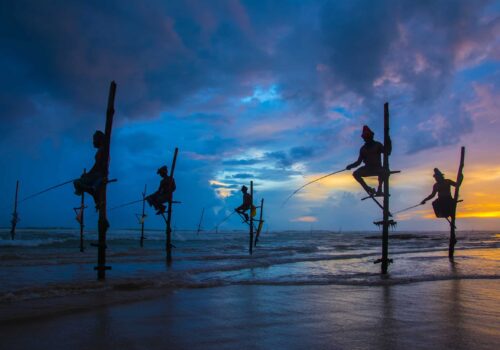 Sri Lanka Culture, Elephants and Jungle Safari