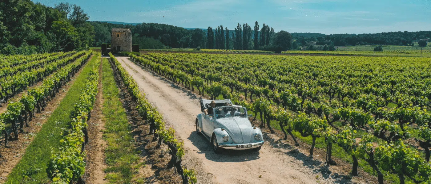 Vintage Jaguar on a quiet road through the Cape Winelands