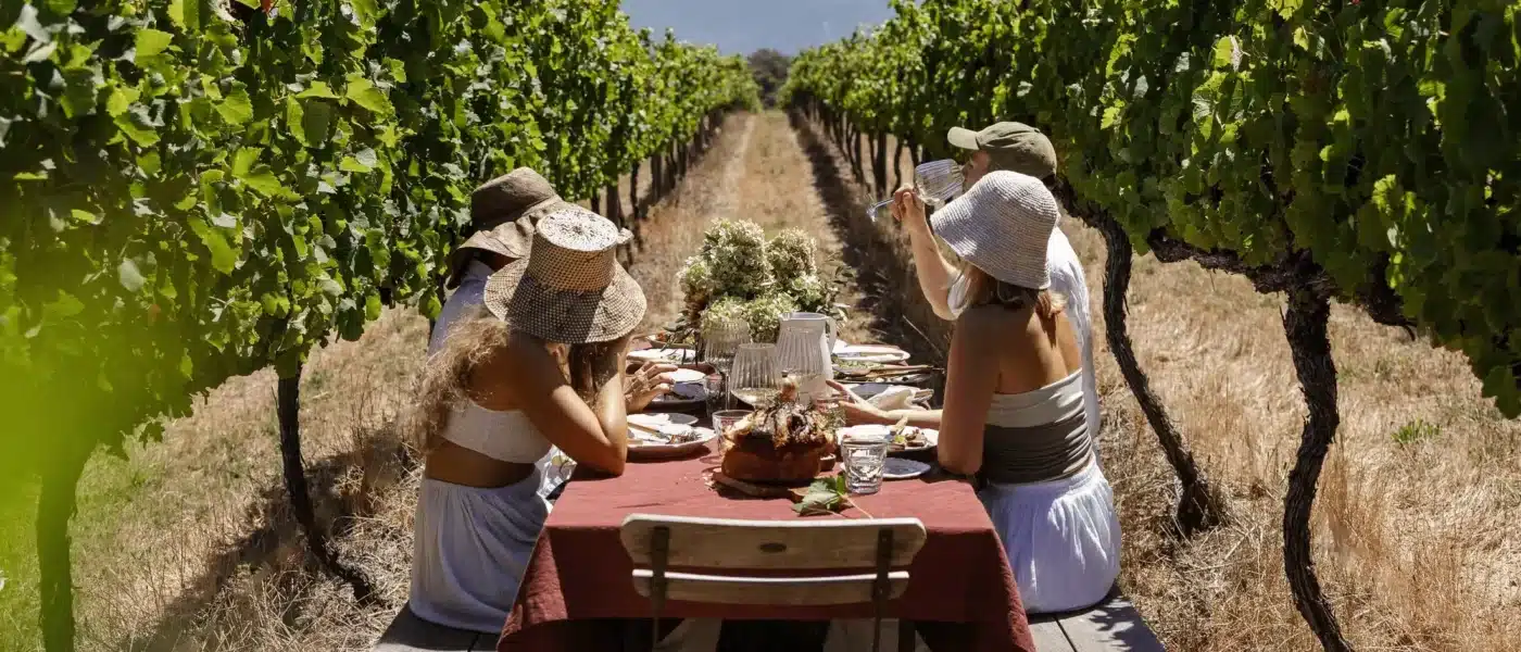 Estate restaurant table with views straight down the vineyard rows