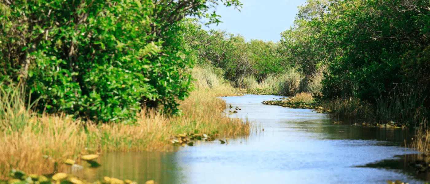 Small guided boat drifting quietly through Everglades channels