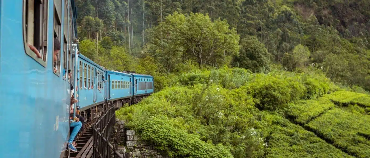 Passenger watching tea country from an open train window