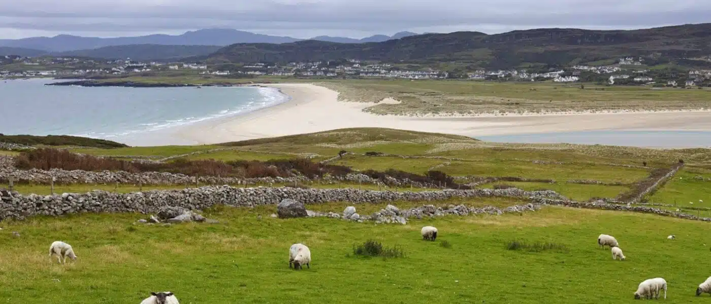 Boat sheds and coastal path near Dunfanaghy in Donegal