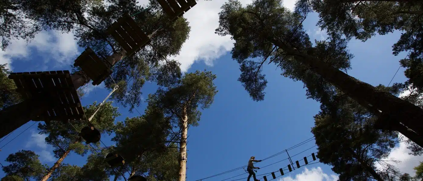 Instructor adjusting a harness on a treetop platform