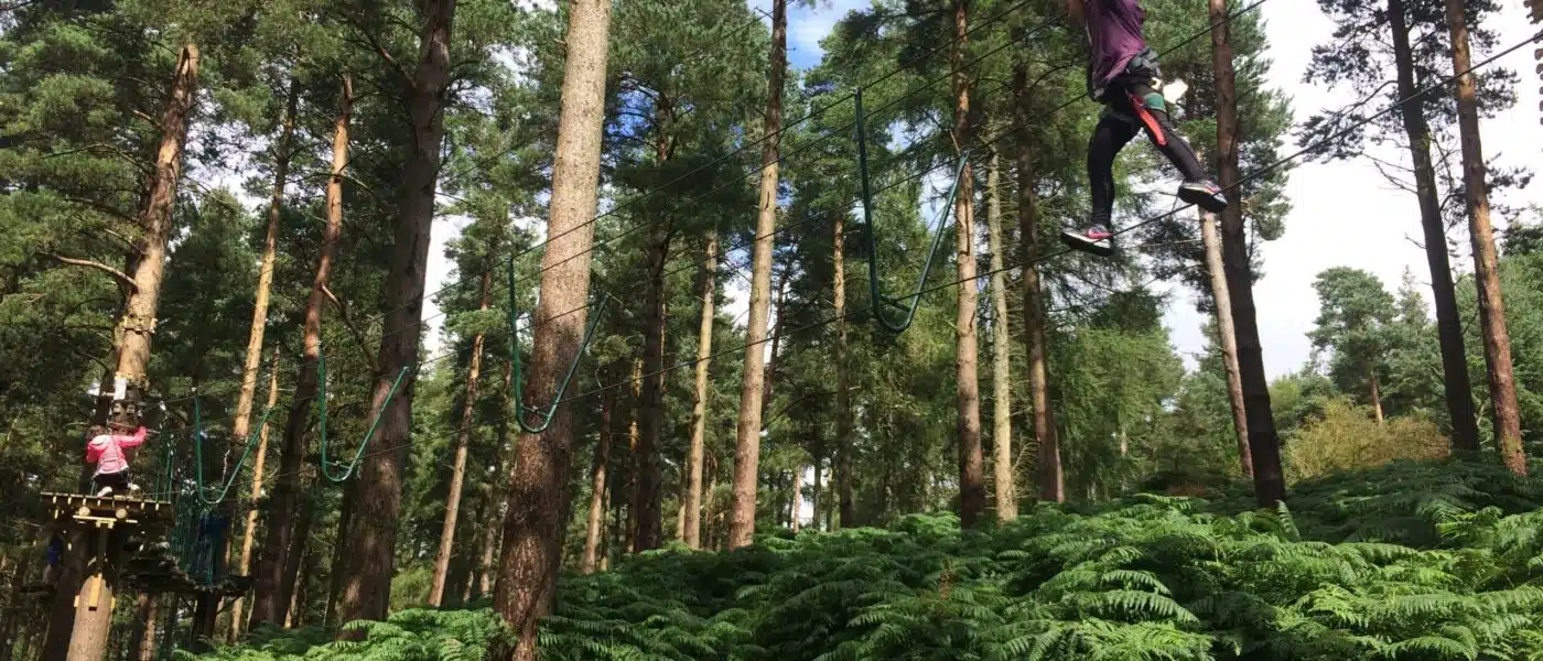 Swinging rope bridge between platforms high in the trees