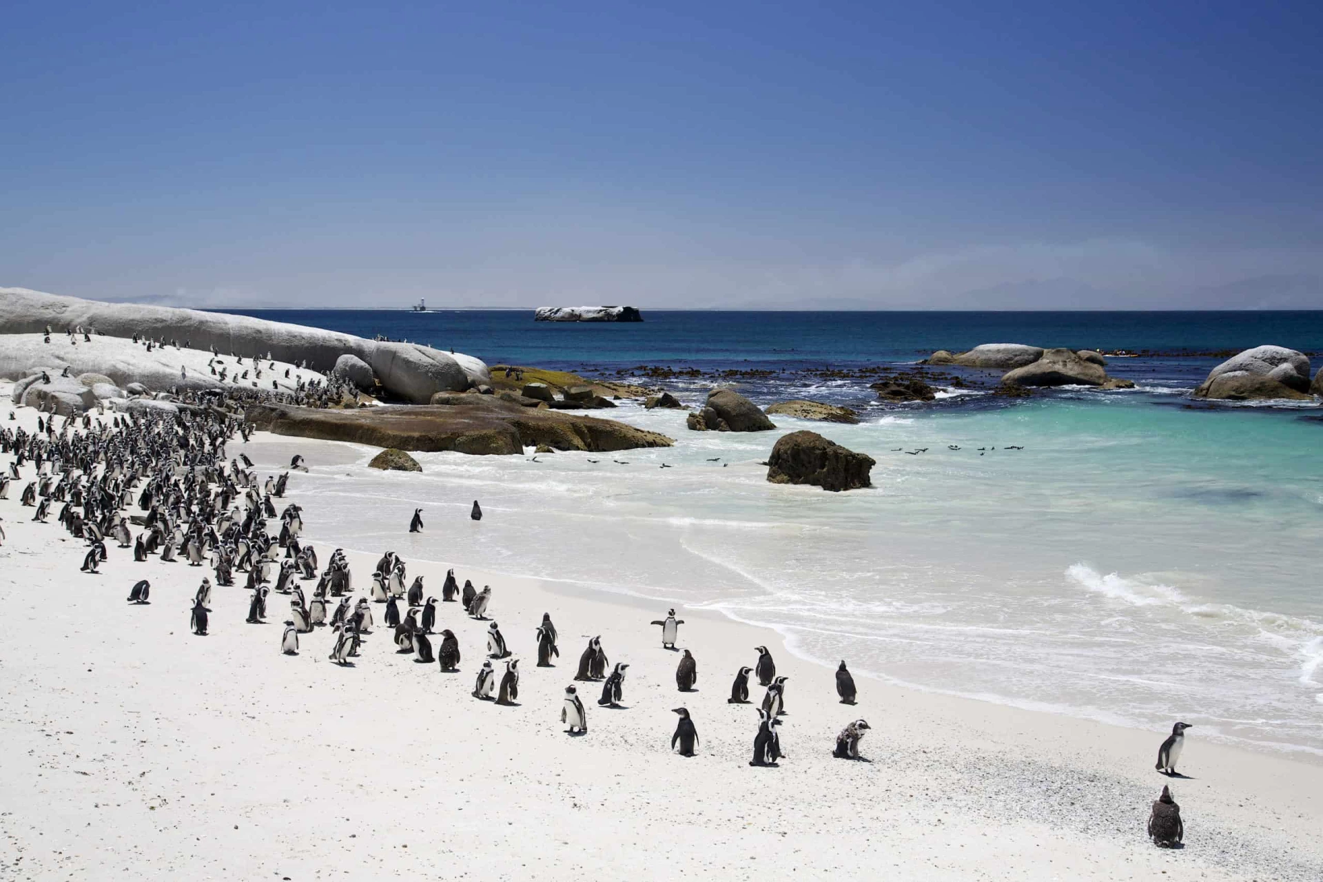 Gay Group Trip: South Africa Explorer