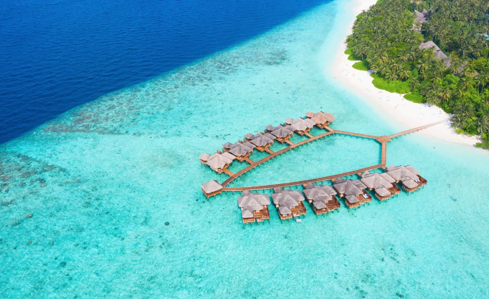 French Polynesia: The Out Of Office Collection