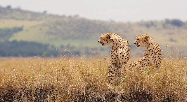 Kruger National Park