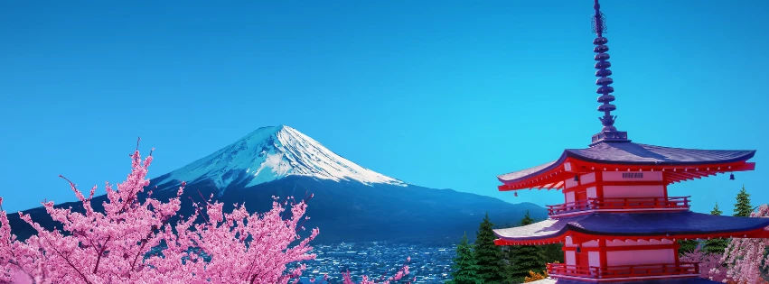 Cherry Blossom Season in Japan: A Gay Travel Guide