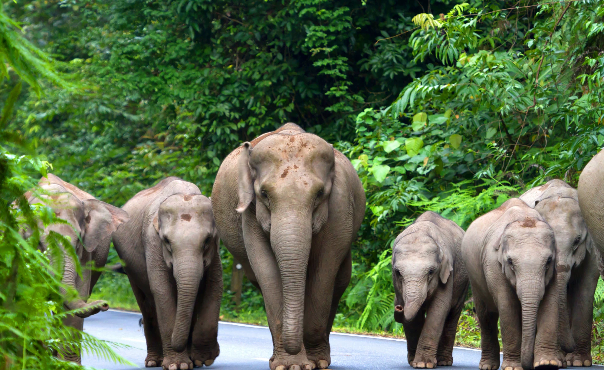 Bangkok, Chiang Mai and Chiang Rai