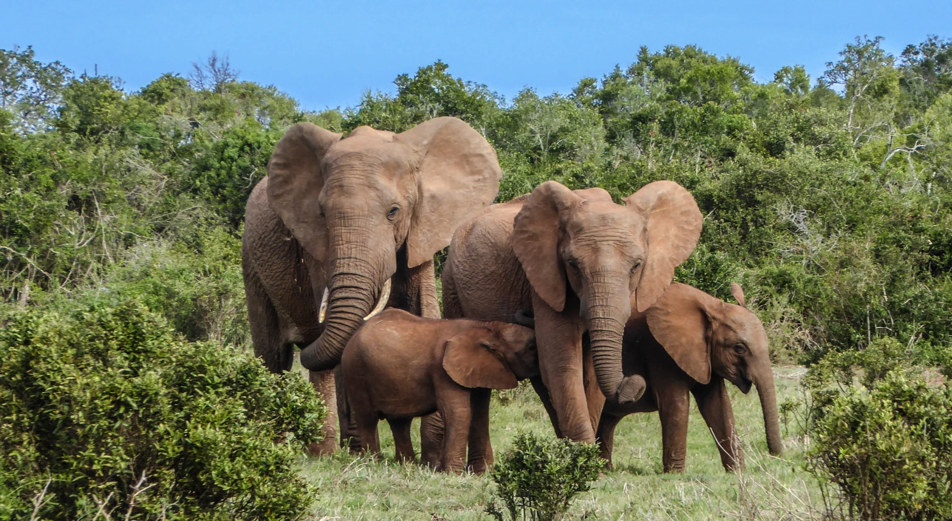South Africa