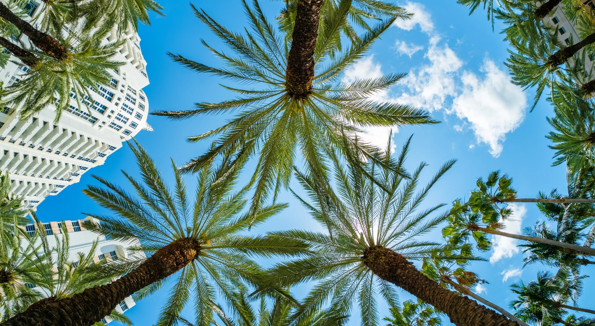Luxury Greater Miami vacations