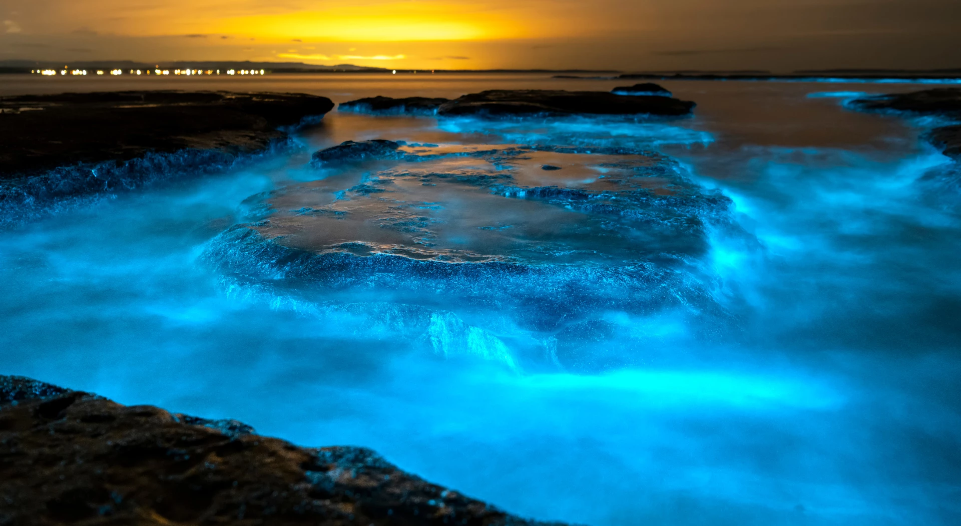 Mosquito Bay. Puerto Rico
