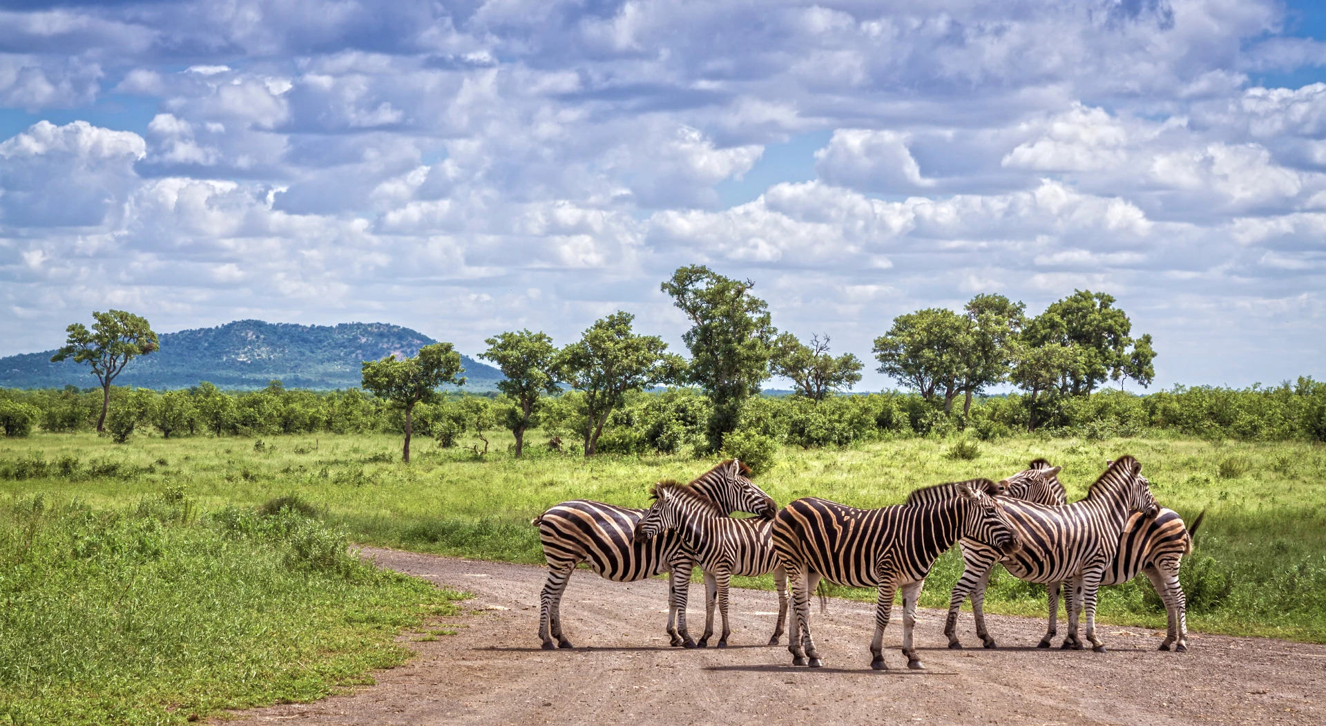 Gay Group Trip: South Africa Explorer