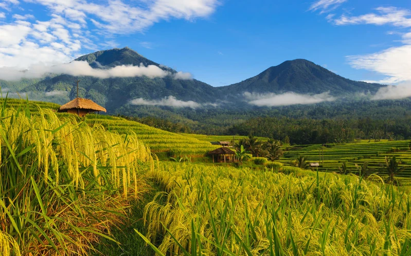 Day 6: Scenic Journey Through Bali’s Heartland