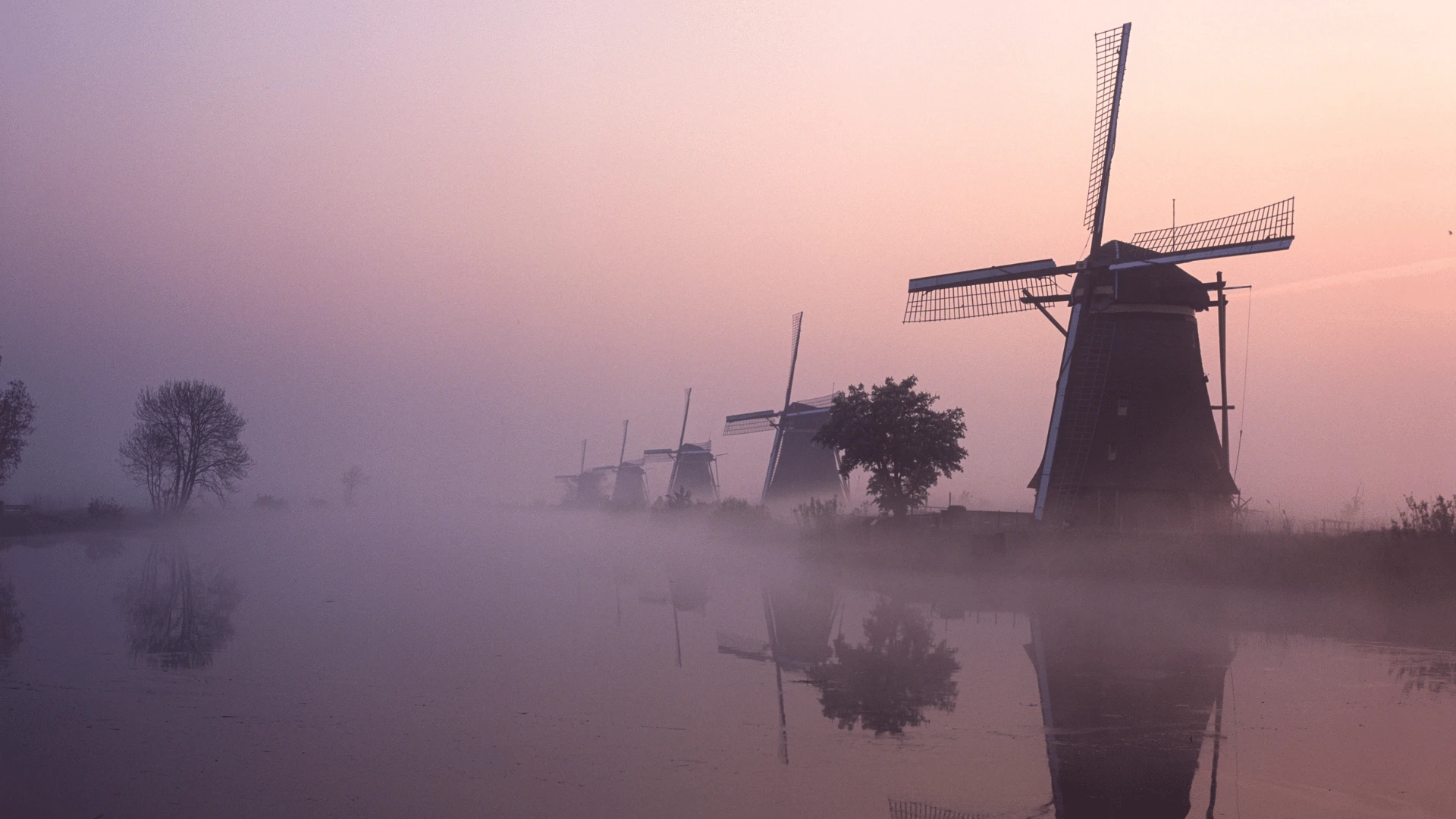 Canals to Culture: Gay River Cruise from Amsterdam to Brussels
