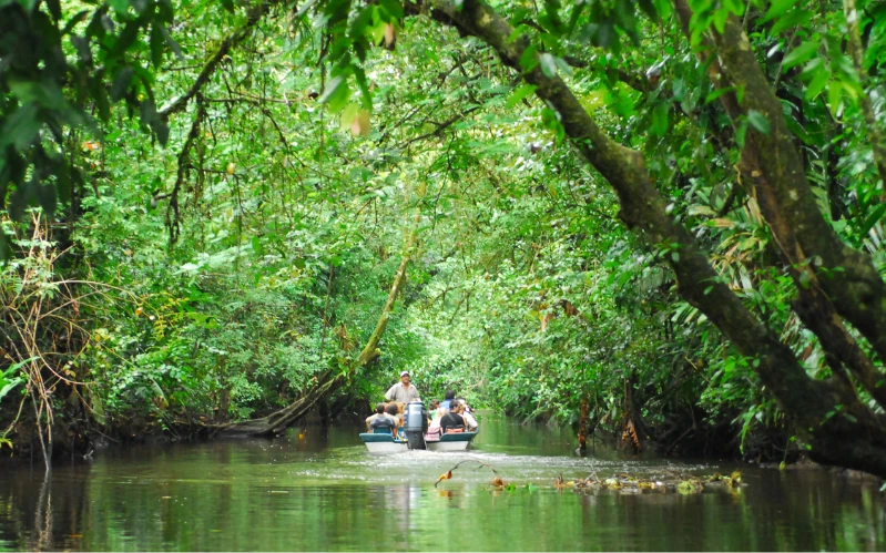 Day 2: Into the Wild – Tortuguero National Park