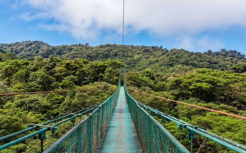 Day 5: Hanging Bridges & Sky Adventures
