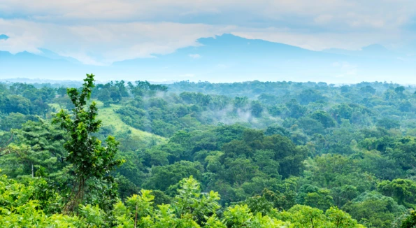 Eco-Friendly Costa Rica