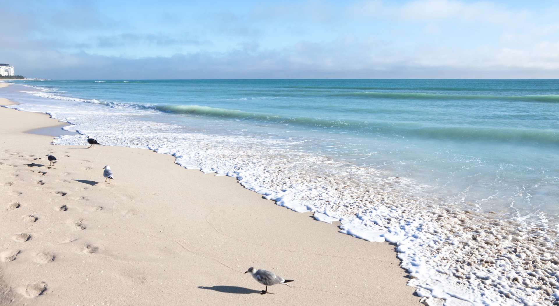 Miami and Fort Lauderdale