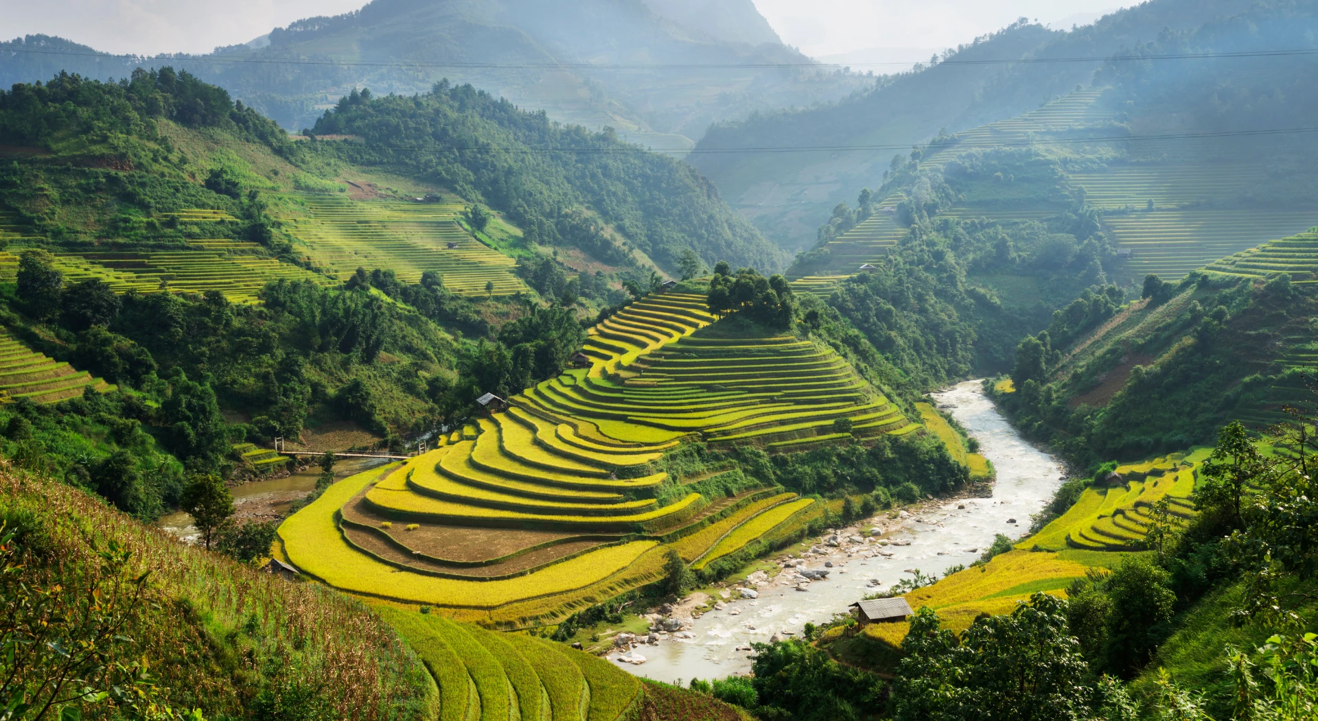 Vietnam