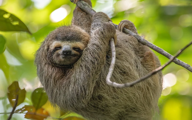 Gay Group Trip: Costa Rica Adventure