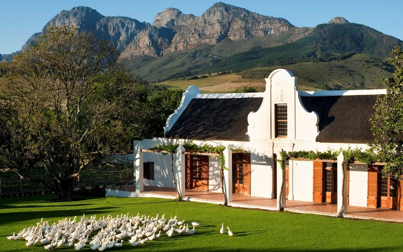 Day 8: Slow Living at Babylonstoren