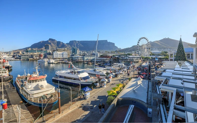 Day 4: Surfing Cape Town’s Coast & V&A Waterfront