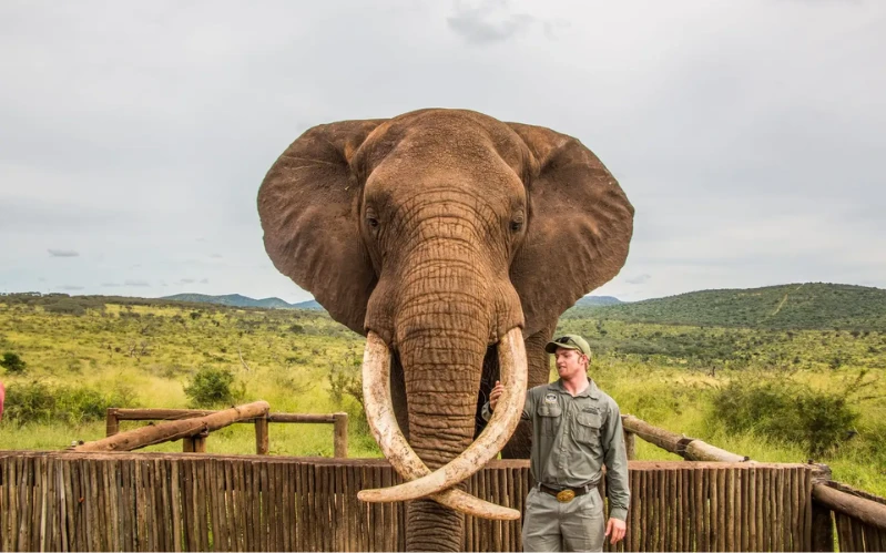 Day 8: Safari Adventures in Manyoni