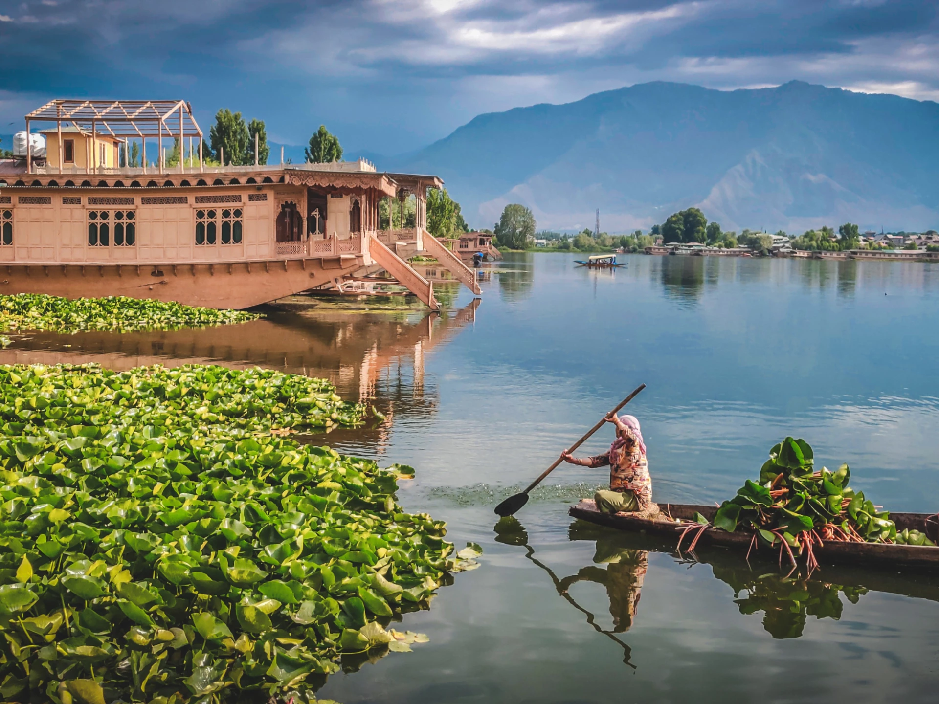 Discover Kerala