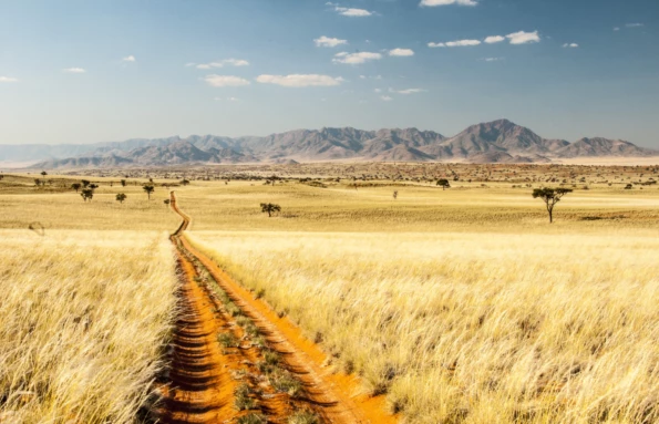 Deserts & Savannas Namibia Safari
