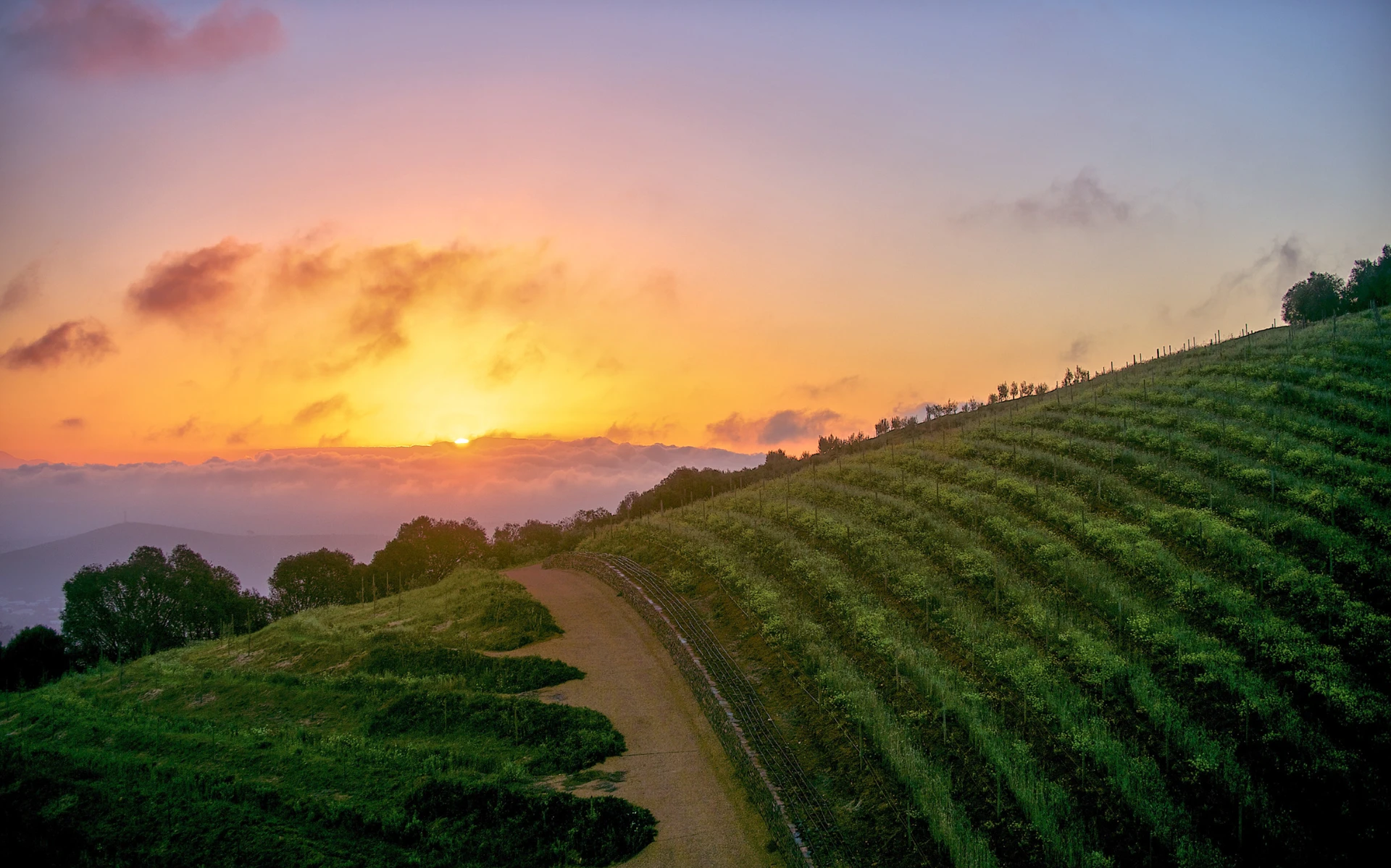 The Best Luxury Hotels in South Africa’s Winelands